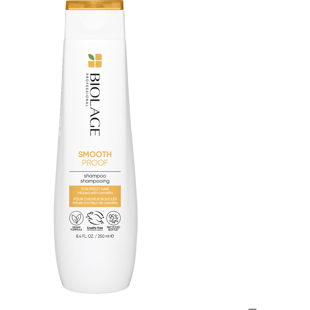 Smooth Proof Shampoo