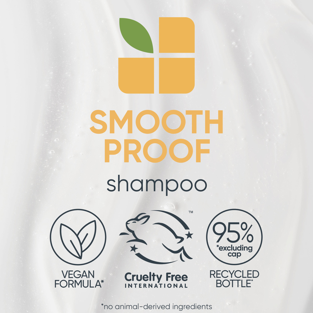 Smooth Proof Shampoo