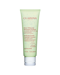 Purifying Gentle Foaming Cleanser, 125ml