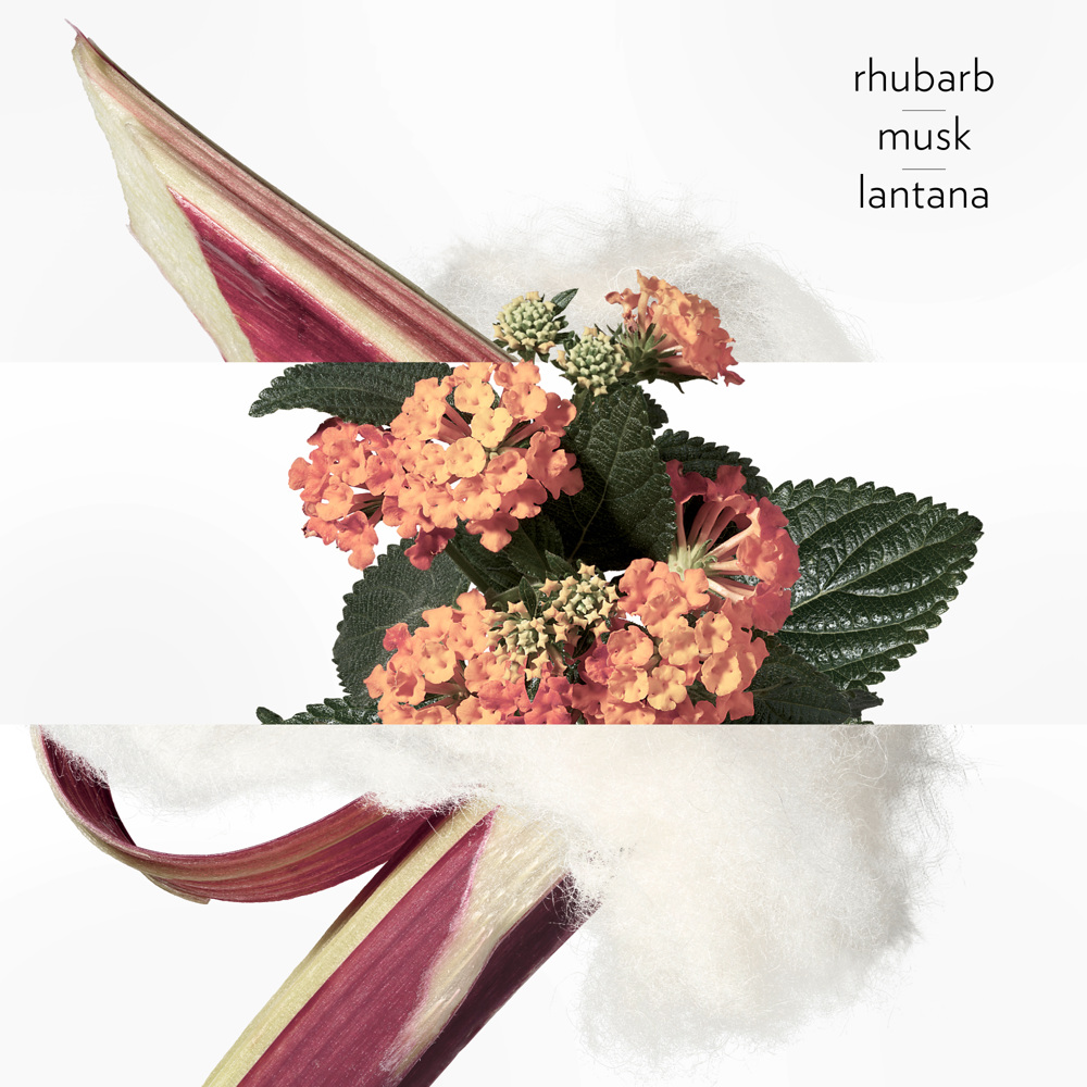 Eau de rhubarbe écarlate Hair & Body Shower Gel, 200ml