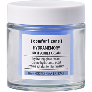 Hydramemory Rich Sorbet Cream, 50ml