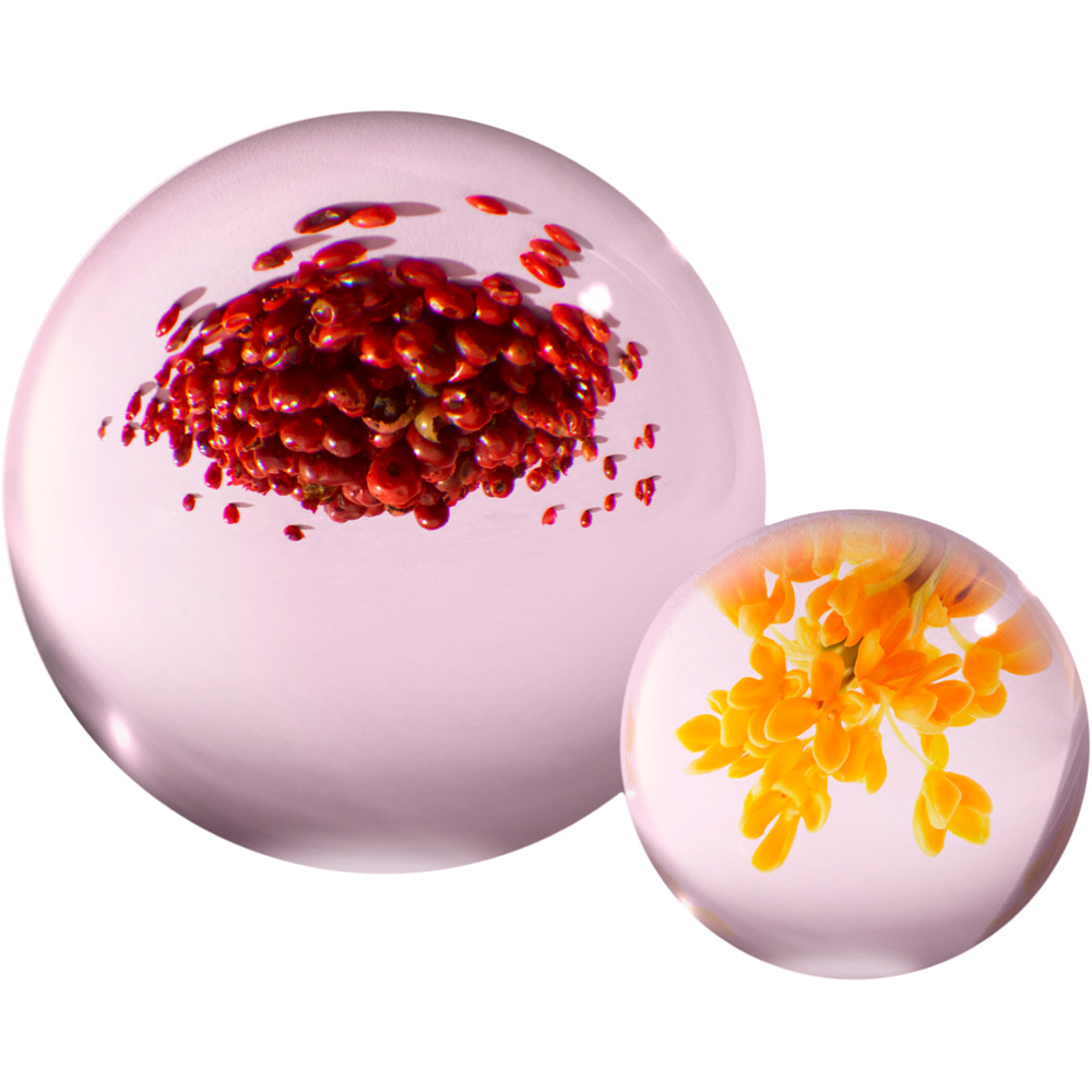 Fiery Pink Pepper, EdP