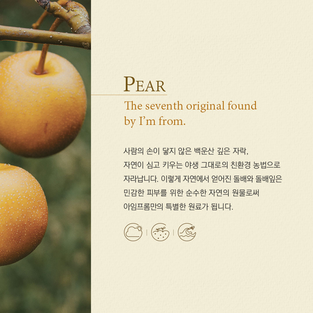 Pear Serum, 50ml