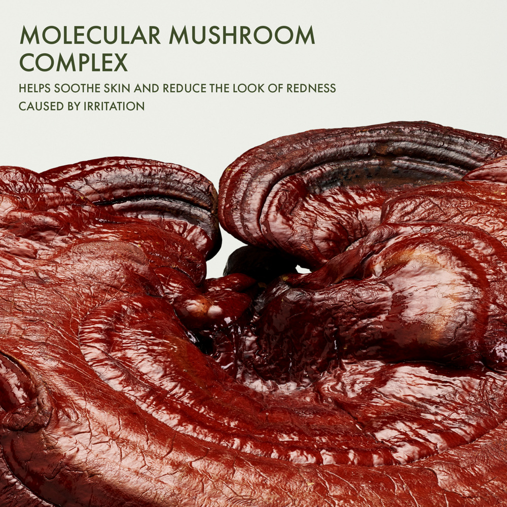 Dr. Weil Mega- Mushroom Restorative Skin Concentrate, 30ml