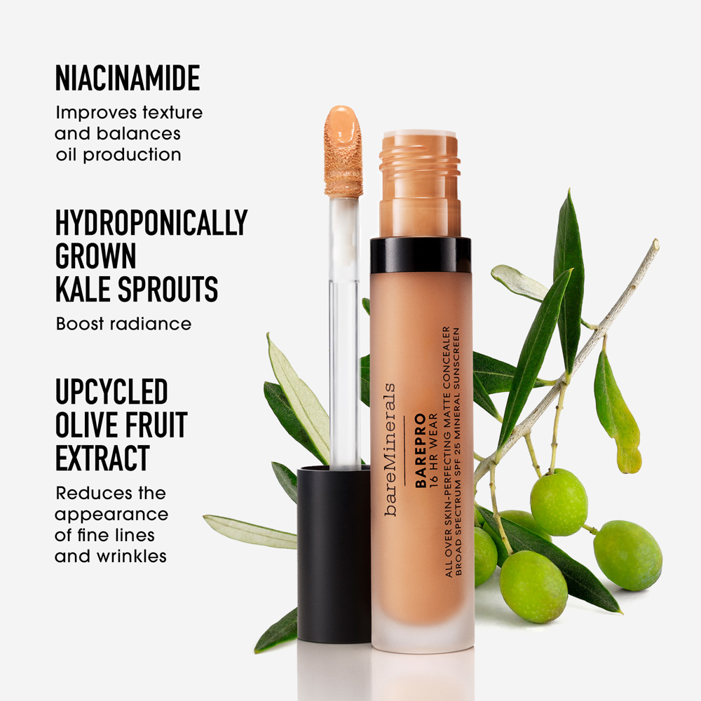 BarePro All Over Skin Perfecting Conceal